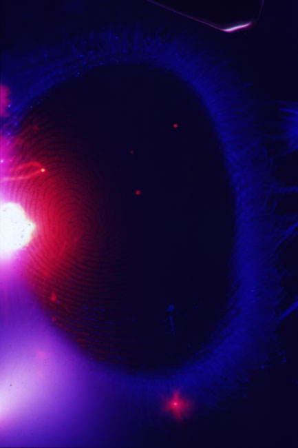 thumbprint-1-high-blue.jpg